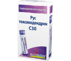 БУАРОН РУС ТОКСИКОДЕНДРОН С30 4Г. ГРАН.ГОМЕОПАТ. ПЕНАЛ [BOIRON]